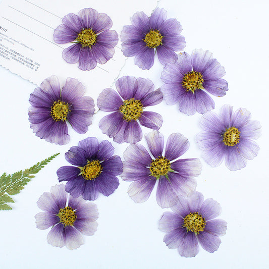 8d5538fd-ebea-44dd-beab-8de8ef3758c9