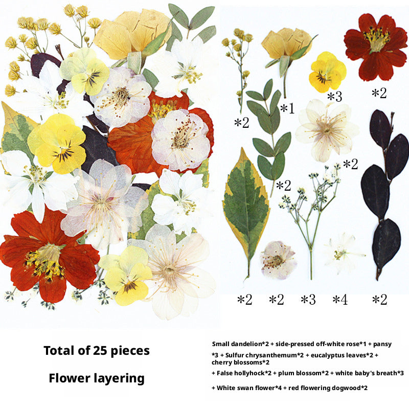 1fe94ed5-e5bb-4064-8ea1-4dd781b76f74